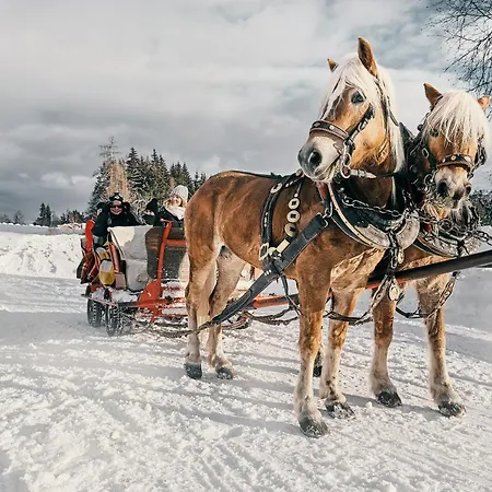 Stockerwirt فندق