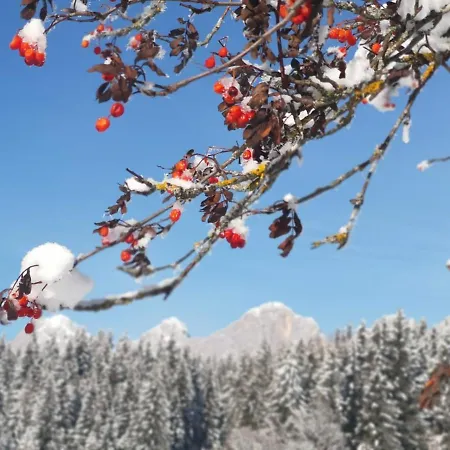 Stockerwirt 3* رامساو أم داتشستين