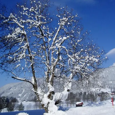 فندق Stockerwirt رامساو أم داتشستين