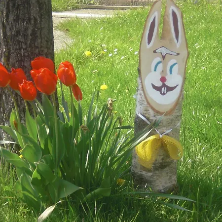 فندق Stockerwirt رامساو أم داتشستين