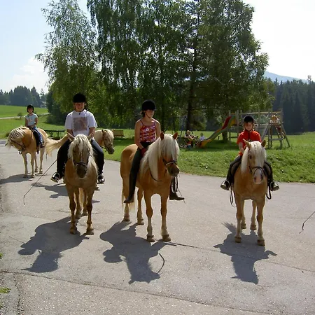 Stockerwirt رامساو أم داتشستين