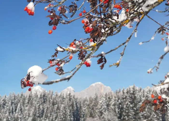 Stockerwirt 3* Ramsau am Dachstein